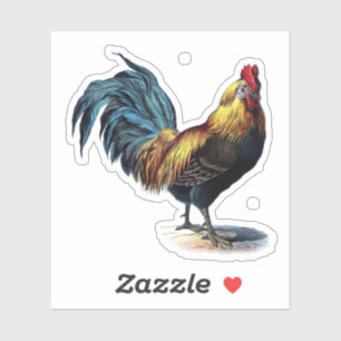 Brightly Coloured Vintage Rooster