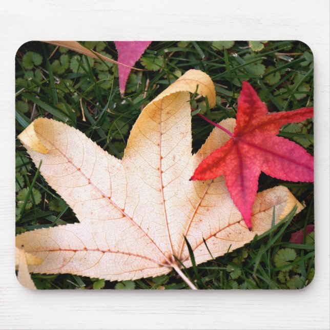 Brightly Colourful Maple Leaf Mouse Pad (Front)