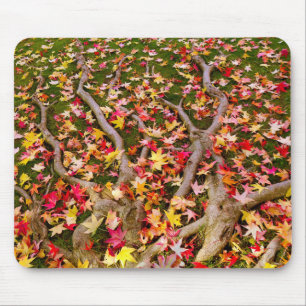 Brightly Colourful Maple Leaf Mouse Pad