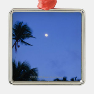 Brightly lit moon, silhouette of coconut trees metal ornament