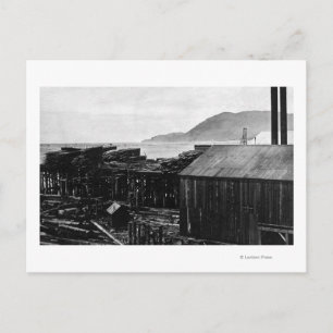 Brighton, Oregon Lumber Mills on Coast Photograp Postcard