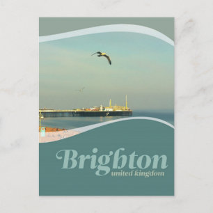 Brighton Pier Seagull Postcard