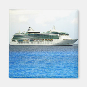 Brilliance in the Caymans Magnet