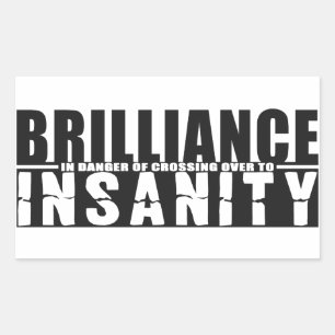 BRILLIANCE VS INSANITY custom stickers