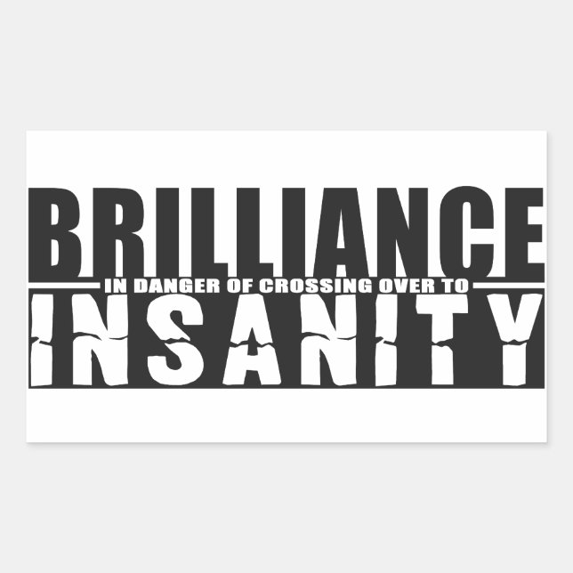 BRILLIANCE VS INSANITY custom stickers (Front)