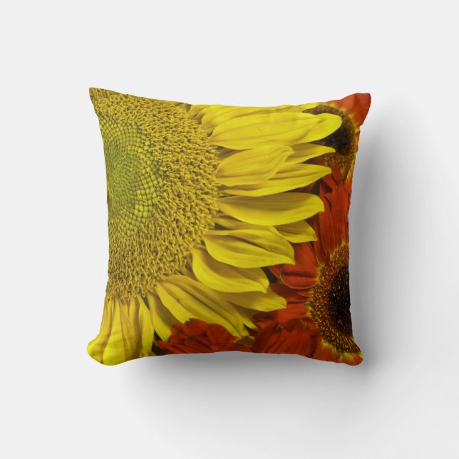 Brilliant Autumn Pillow (Front)