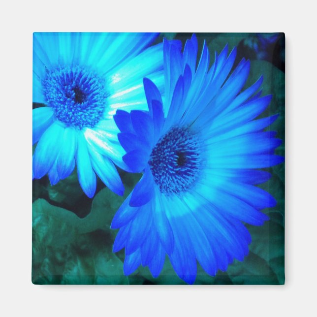 Brilliant Blue Daisy Magnet (Front)