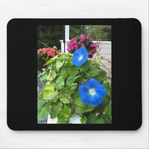 Brilliant Blue Morning Glories Mouse Pad