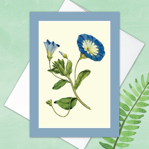 Brilliant Blue Morning Glory Vine Blank Card
