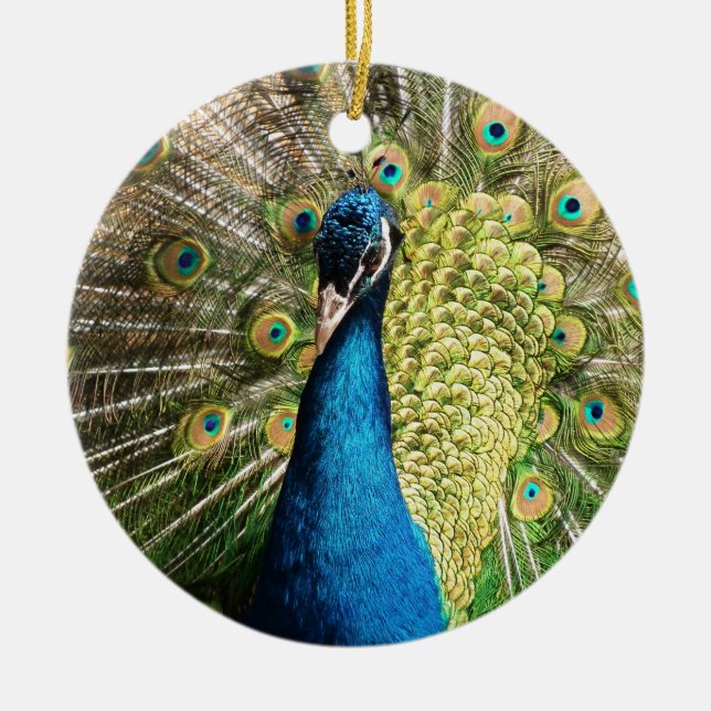 Brilliant Blue Peacock Ceramic Ornament (Front)