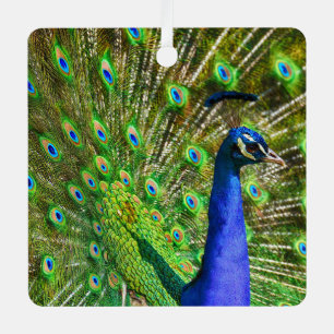 Brilliant Blue Peacock Metal Ornament