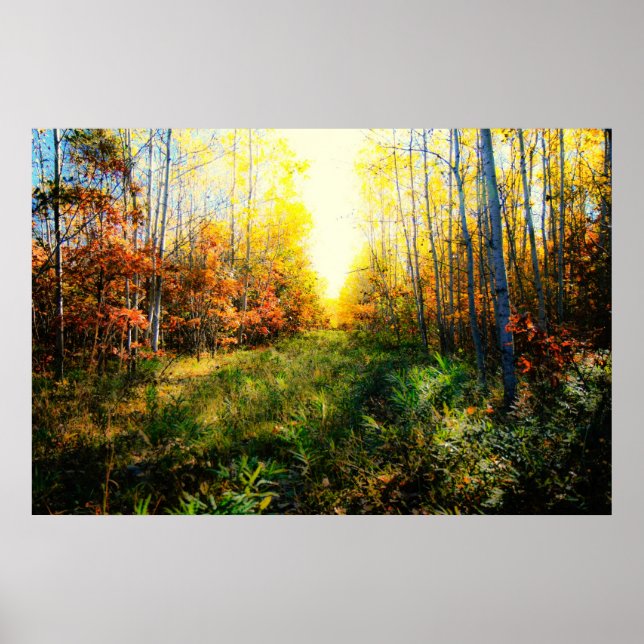 Brilliant coloured landscape print (Front)