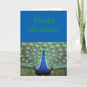 Brilliant coloured Peacock, Birthday Card