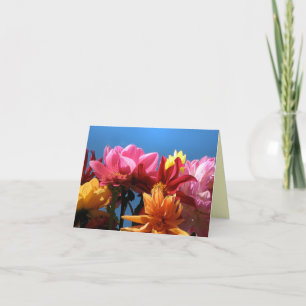 Brilliant Dahlias Thank You Card