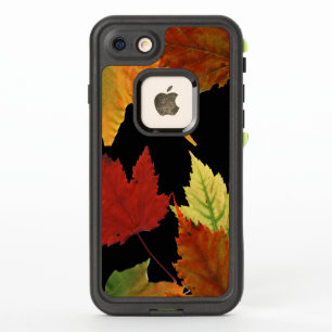 Brilliant Fall Colours Maple Leaves