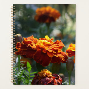 Brilliant Marigolds Macro Photograph Planner