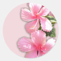 Brilliant Pink Hawaiian Hibiscus Flowers