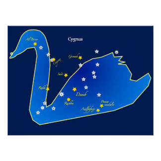 Brilliant poster of the Constellation of the Swan