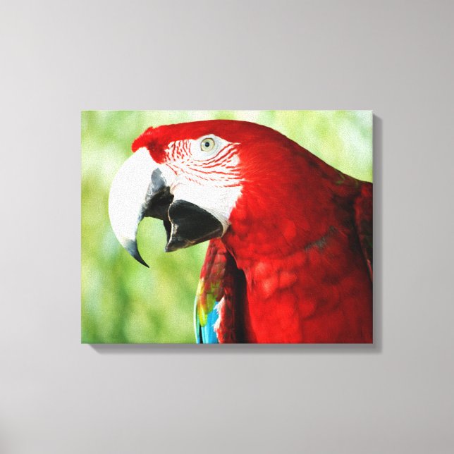Brilliant Red Canvas Print (Front)