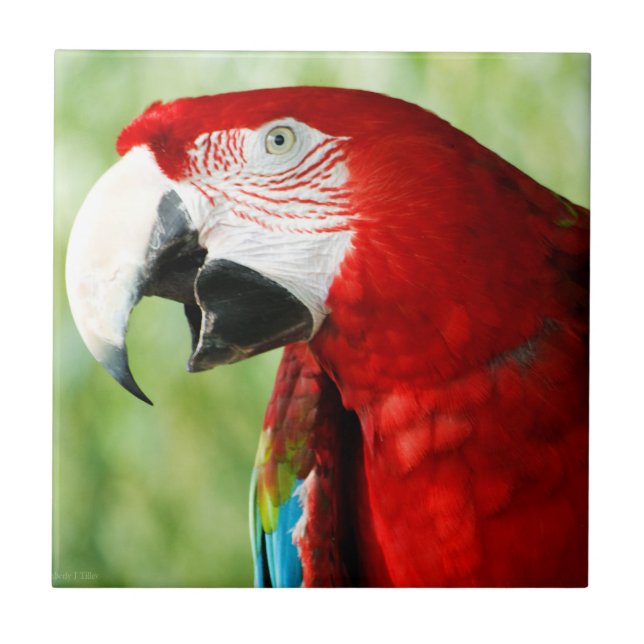 Brilliant Red Ceramic Tile (Front)