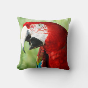 Brilliant Red Cushion