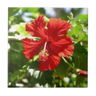 Brilliant Red Hibiscus Ceramic Tile