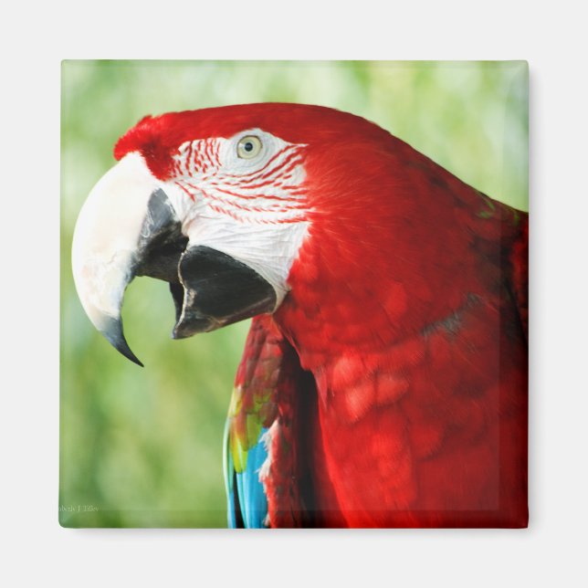 Brilliant Red Magnet (Front)