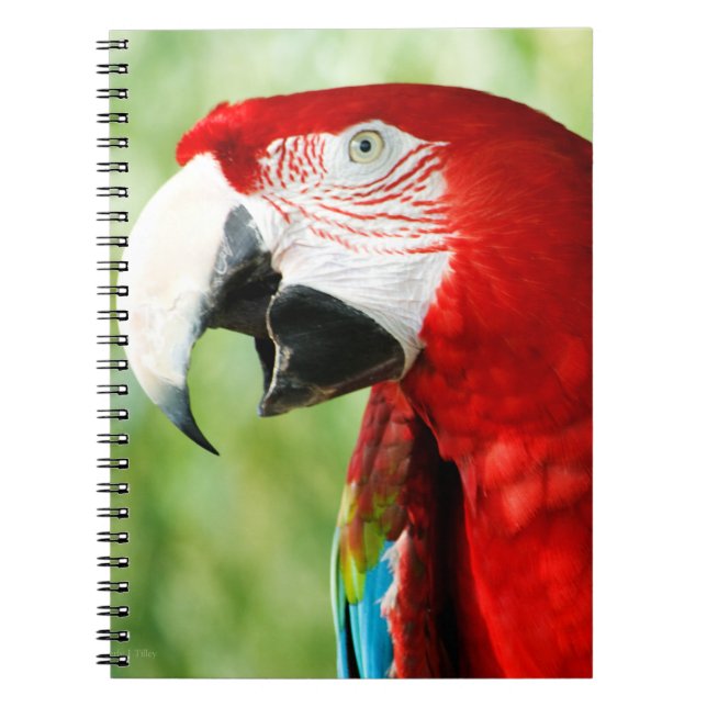 Brilliant Red Notebook (Front)