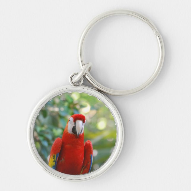 Brilliant Red Parrot Keychain (Front)