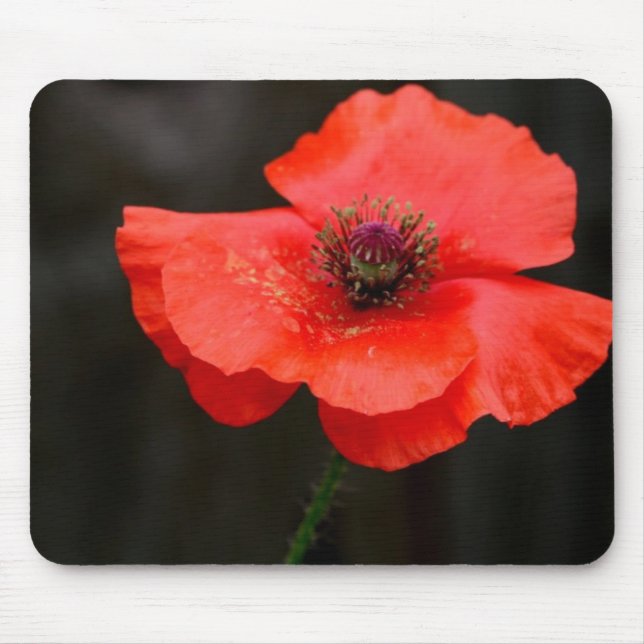 Brilliant Red Poppy Mouse Pad (Front)