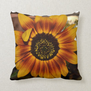 Brilliant Sunflower Cushion