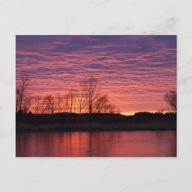 Brilliant sunset reflects into the Calamus River Postcard (Front)