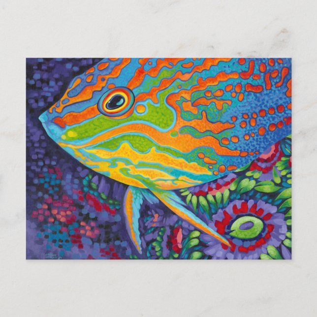 Brilliant Tropical Fish I Postcard (Front)