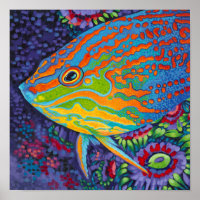 Brilliant Tropical Fish I