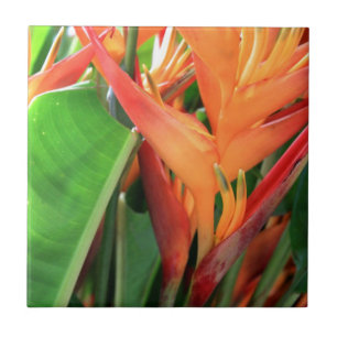 Brilliant Tropical Heliconia Florals Ceramic Tile