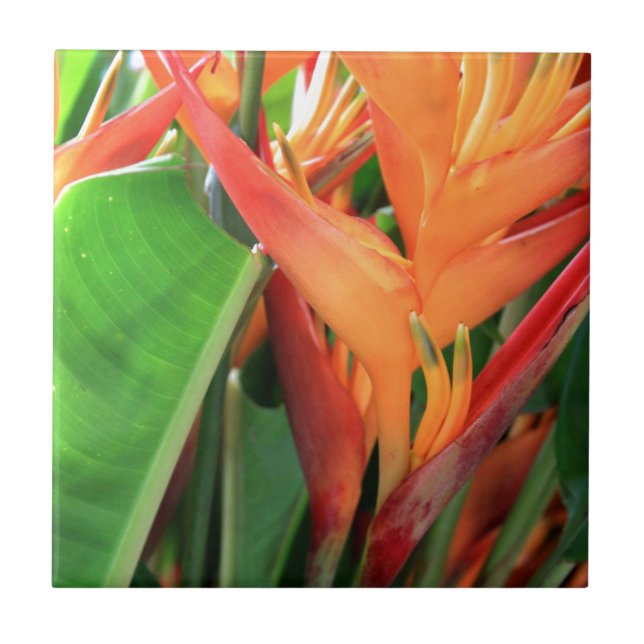 Brilliant Tropical Heliconia Florals Ceramic Tile (Front)