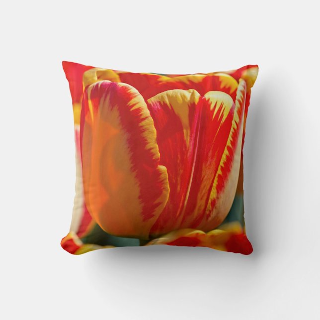 Brilliant Tulips Cushion (Front)