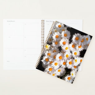 Brilliant White Daisies On Black Floral Art Planner