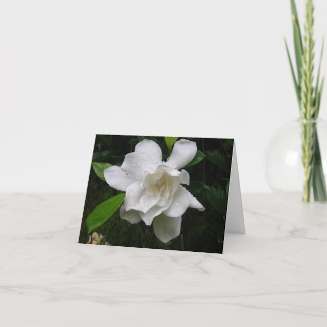Brilliant White Summer Garden Blooms Note Card (Front)