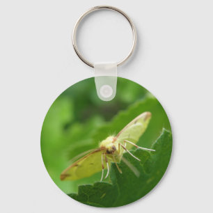 Brimstone Moth Keychain
