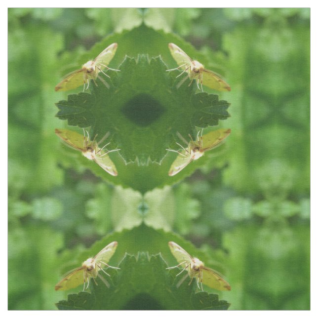 Brimstone Moth Patterned Craft Fabric (Swatch)