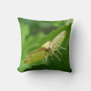 Brimstone Moth Pillow