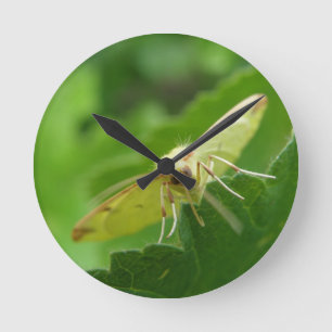 Brimstone Moth Wall Clock