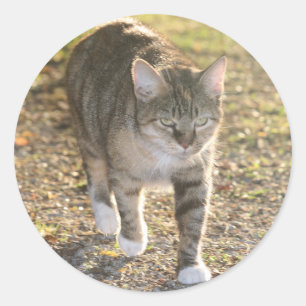 Brin Classic Round Sticker