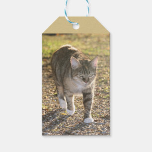 Brin Gift Tags