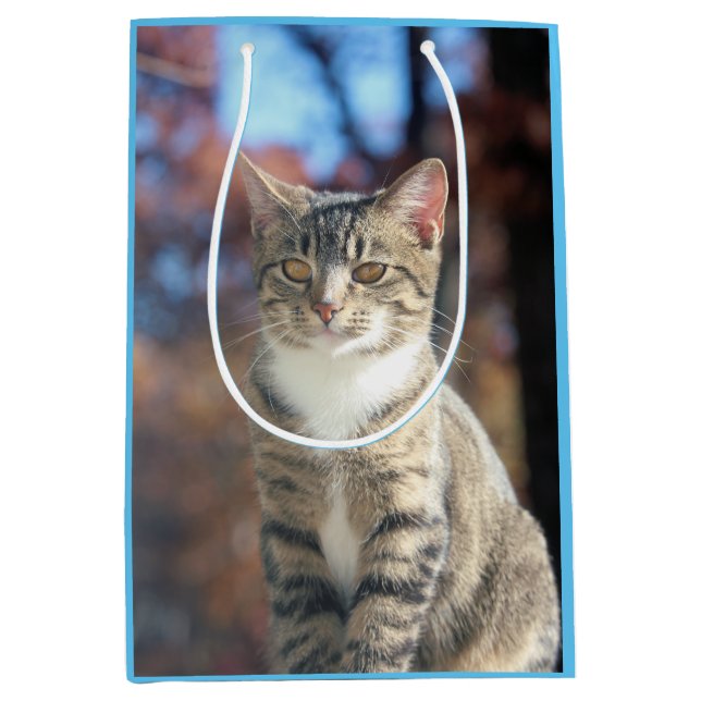 Brin Medium Gift Bag (Front)