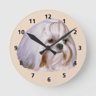 Brindle and White Shih Tzu Dog Round Clock