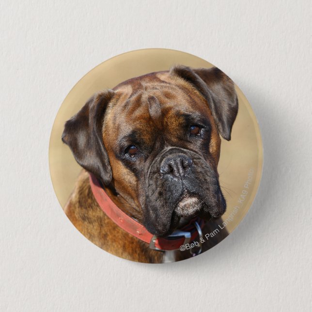 Brindle Boxer Dog 6 Cm Round Badge (Front)