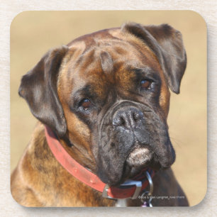 Brindle Boxer Dog Coaster