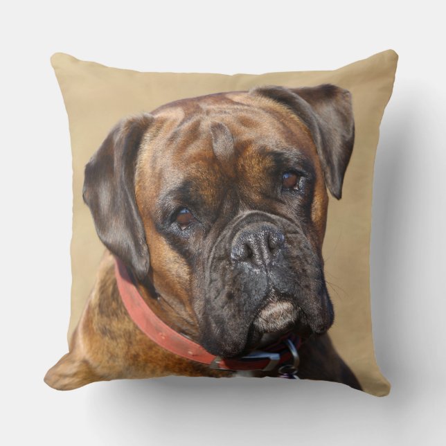 Brindle Boxer Dog Cushion (Front)